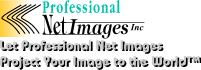 PNI Logo