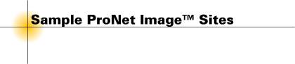 Web Site Samples